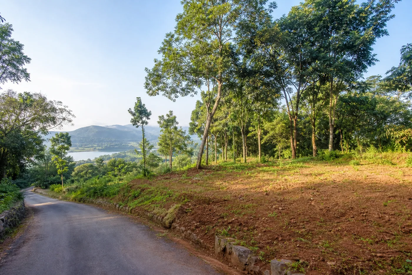 Residential plot with a hill view in Yercaud