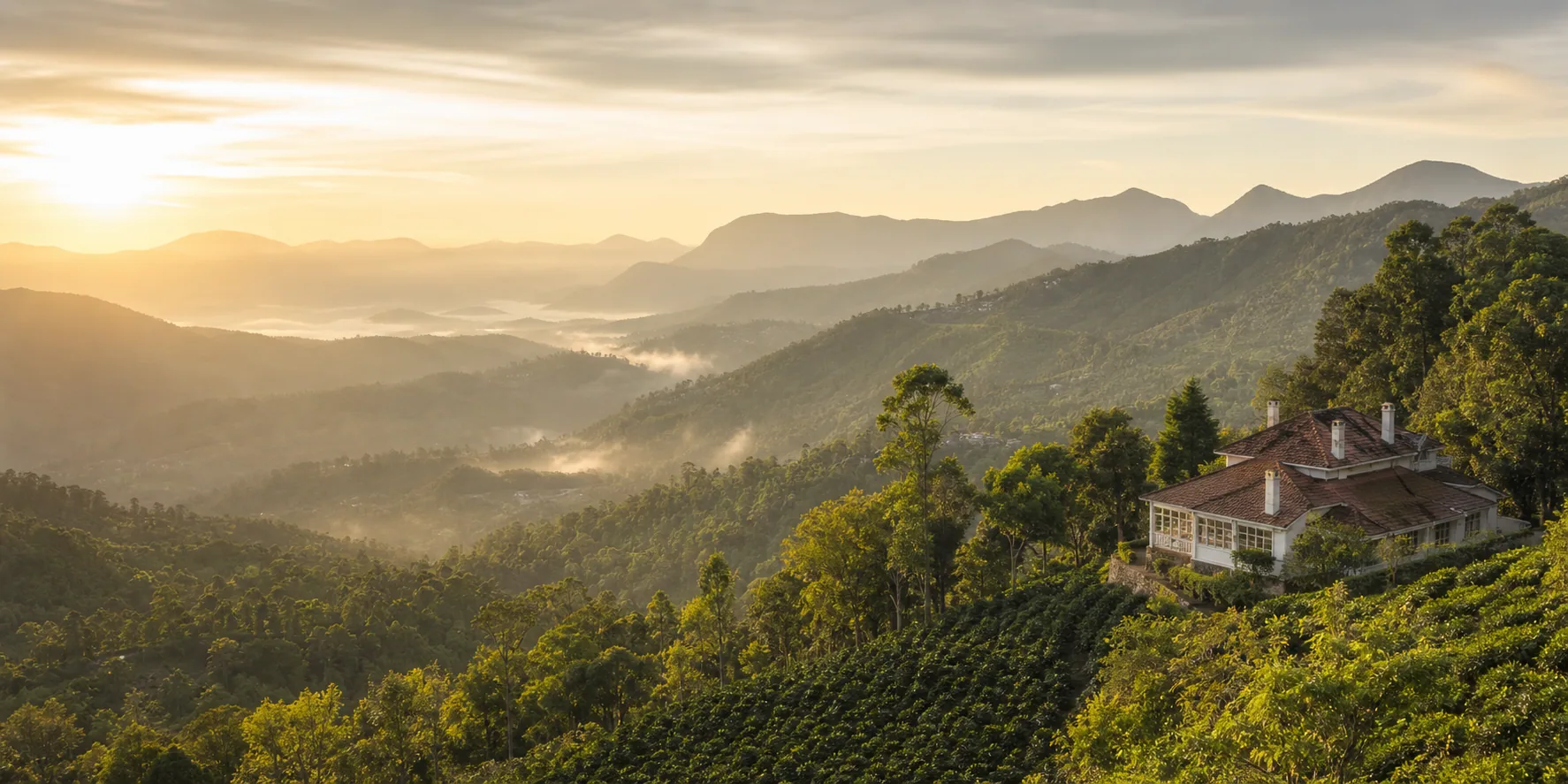 Misty forested hills around Yercaud
